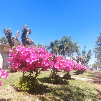 Avenida Barão Hirch Avenida Barão Hirch